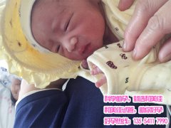 恭喜丁克家族成功试管助孕