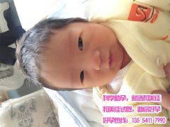 恭喜刘女士成功试管助孕